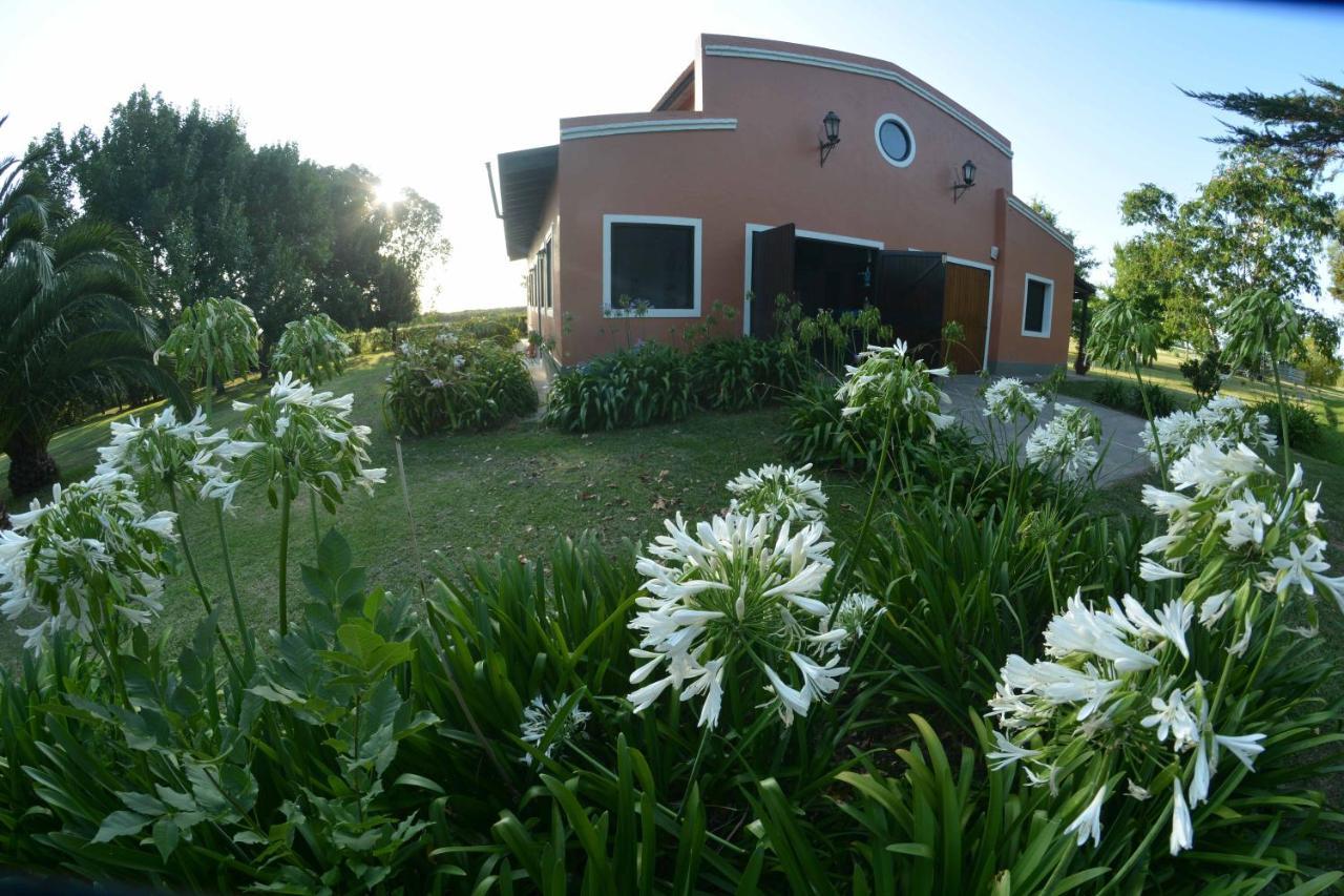Апартаменти La Monturera, Loft De Campo Колонія-дель-Сакраменто Екстер'єр фото
